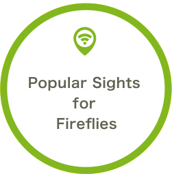 Popular Sights for Fireflies