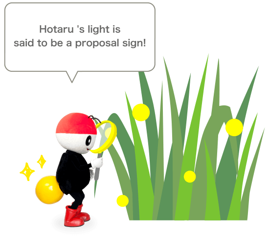 Hotaru 's light is said to be a proposal sign!